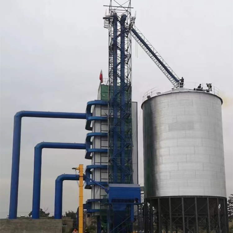 ����������ʳ�����